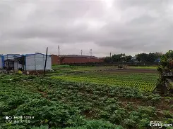 天永智能装备有限公司 天永智能装备有限公司